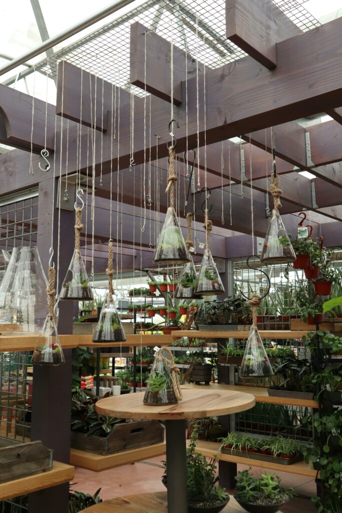 Photo de l'atelier de terrarium botanika
